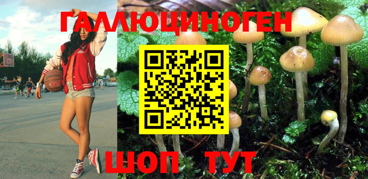 Галлюциногенные грибы ЛСД Красный Сулин