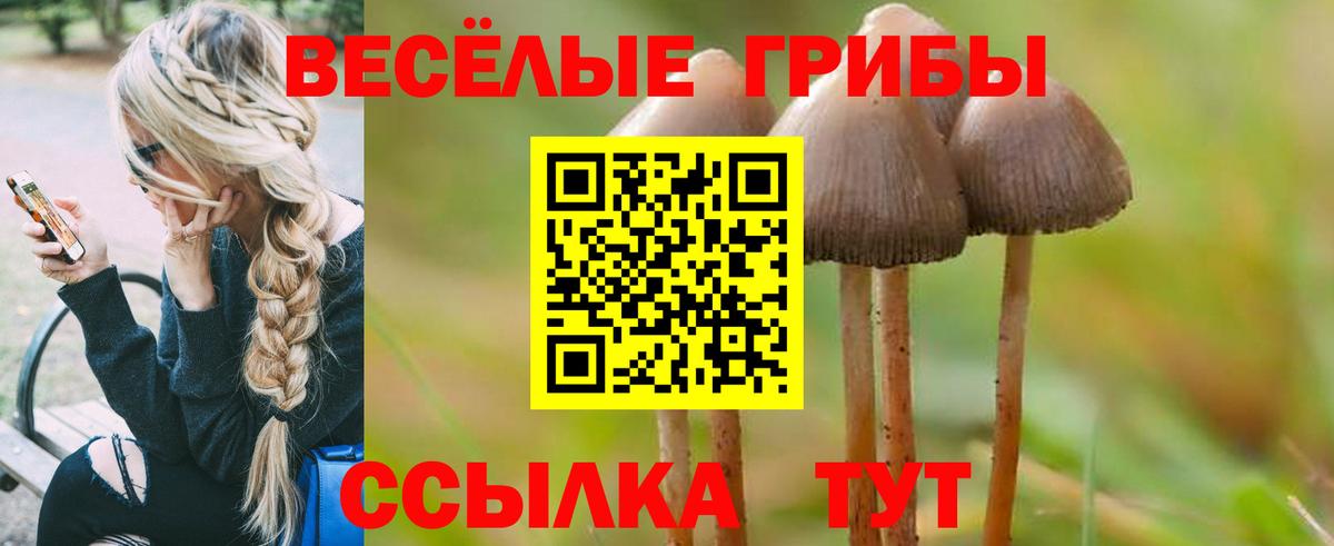 закладки  Псилоцибиновые грибы Psilocybine cubensis  Вход с VPN  Красный Сулин 